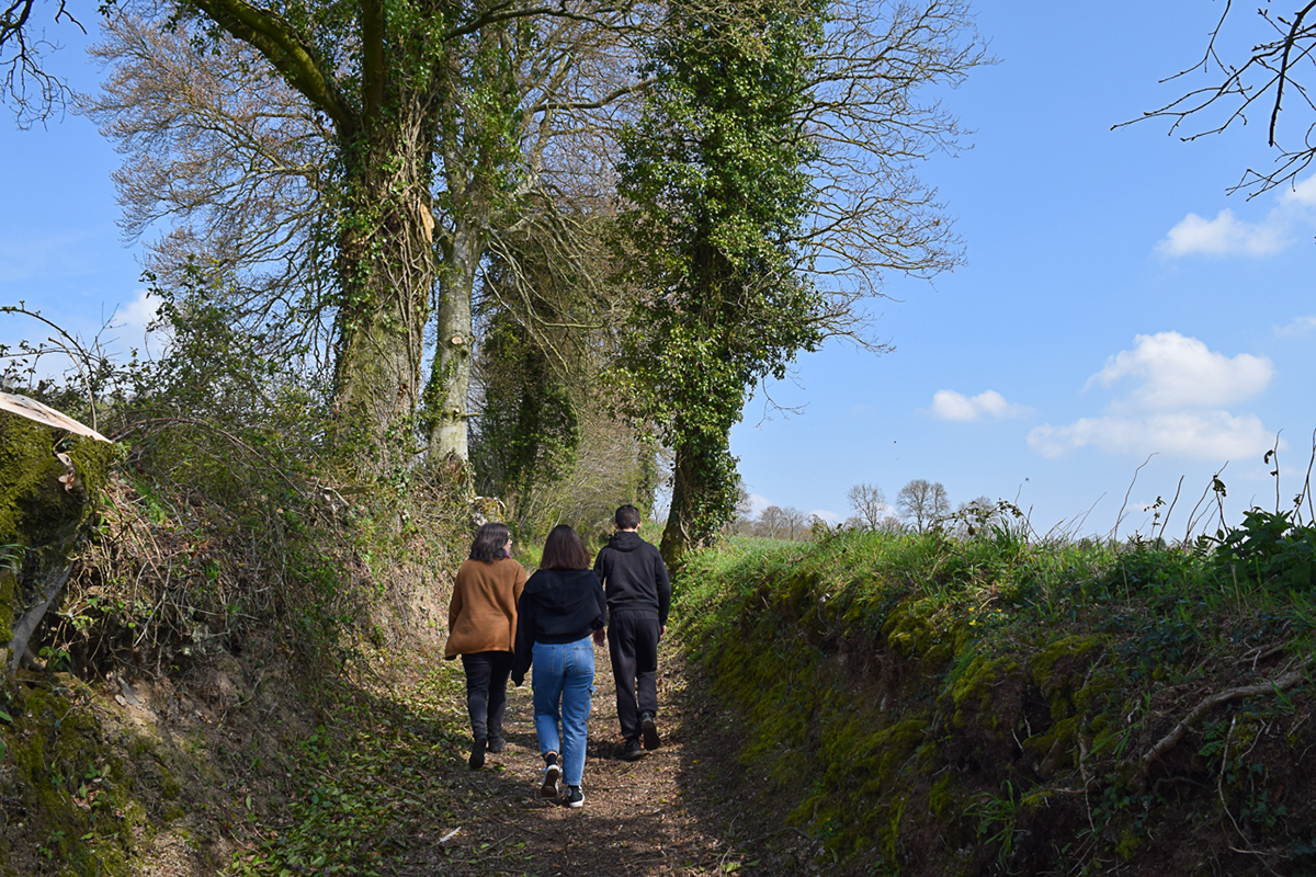 La butte de Caumont, Caumont-sur-Aure - photo 2