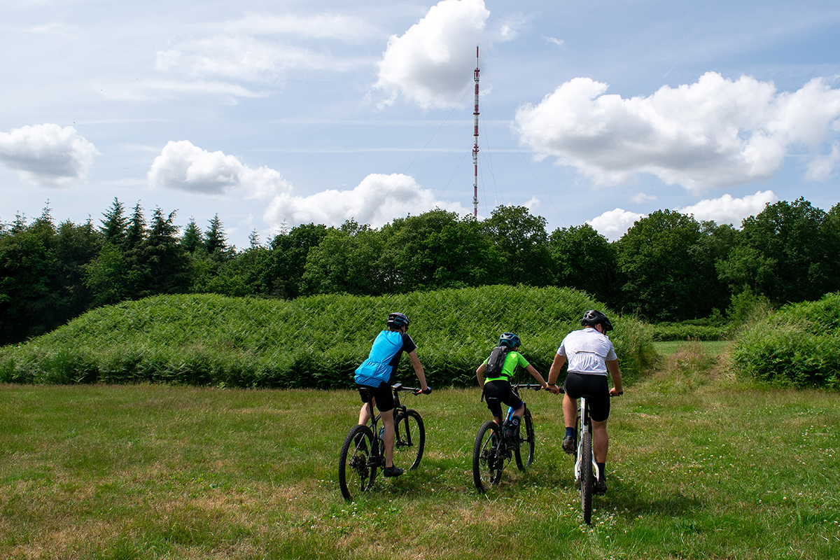 Le Bois du Roi, Les Monts d'Aunay