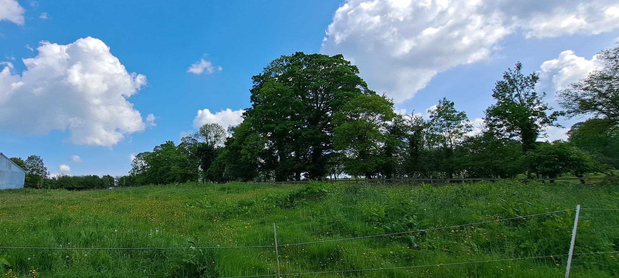 Au Gite perdu, La Villette - photo 7