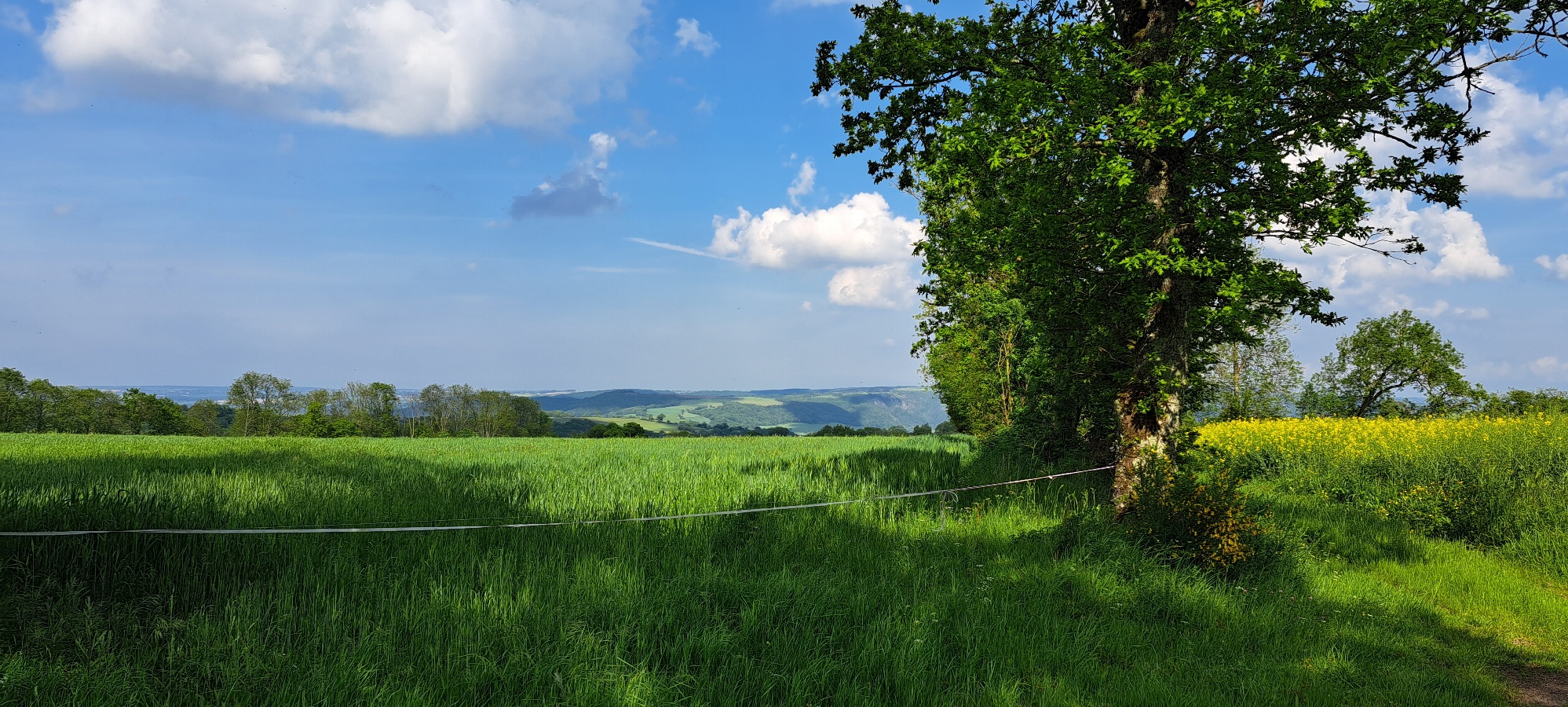 Au Gite perdu, La Villette - photo 13