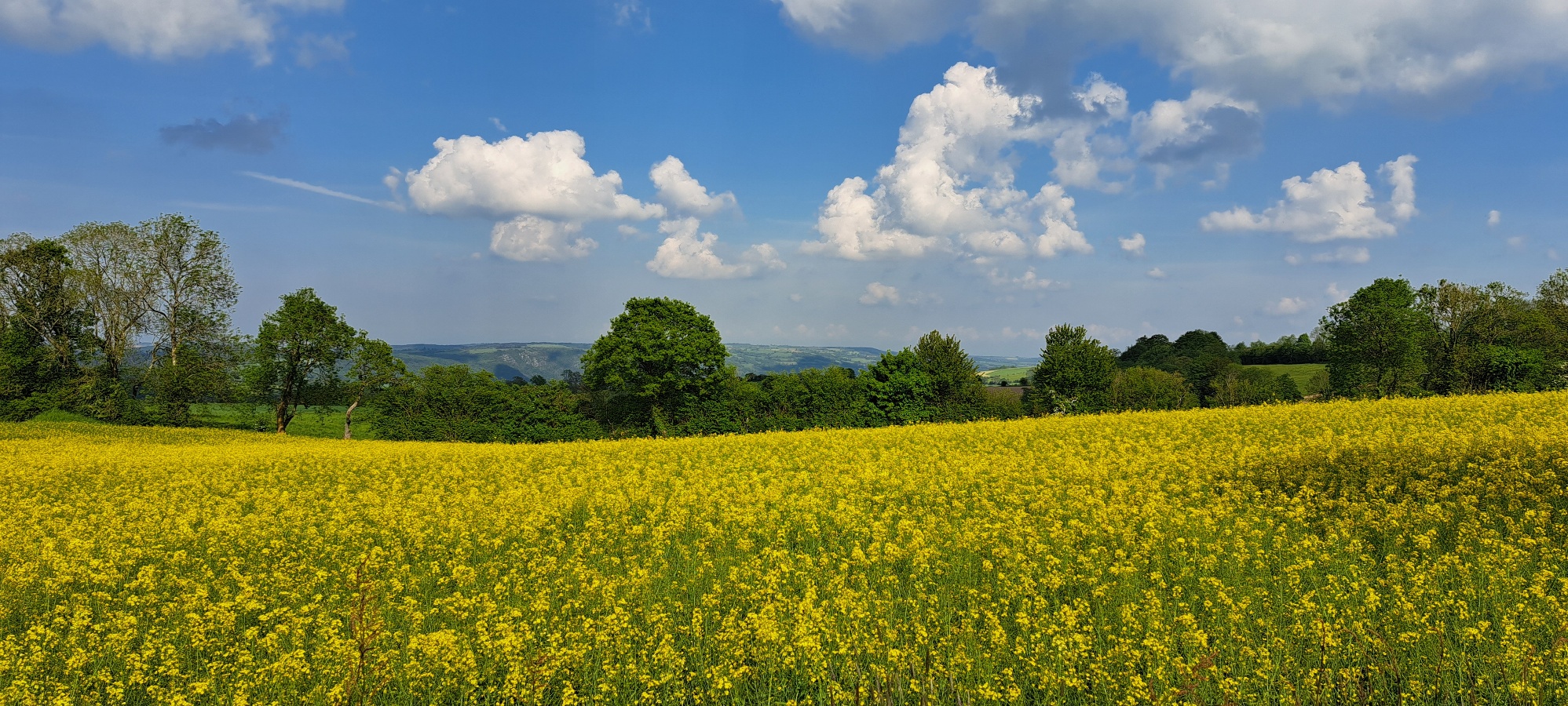 Au Gite perdu, La Villette - photo 9