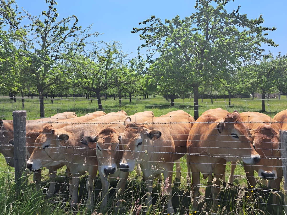 Domaine de la Pommeraie, Gonneville-sur-Honfleur - photo 8