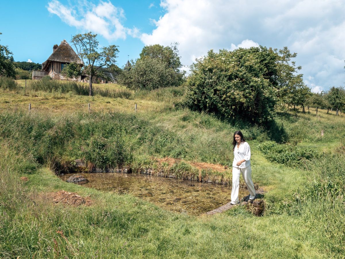 Balade immersion le long du sentier de l'Anguille