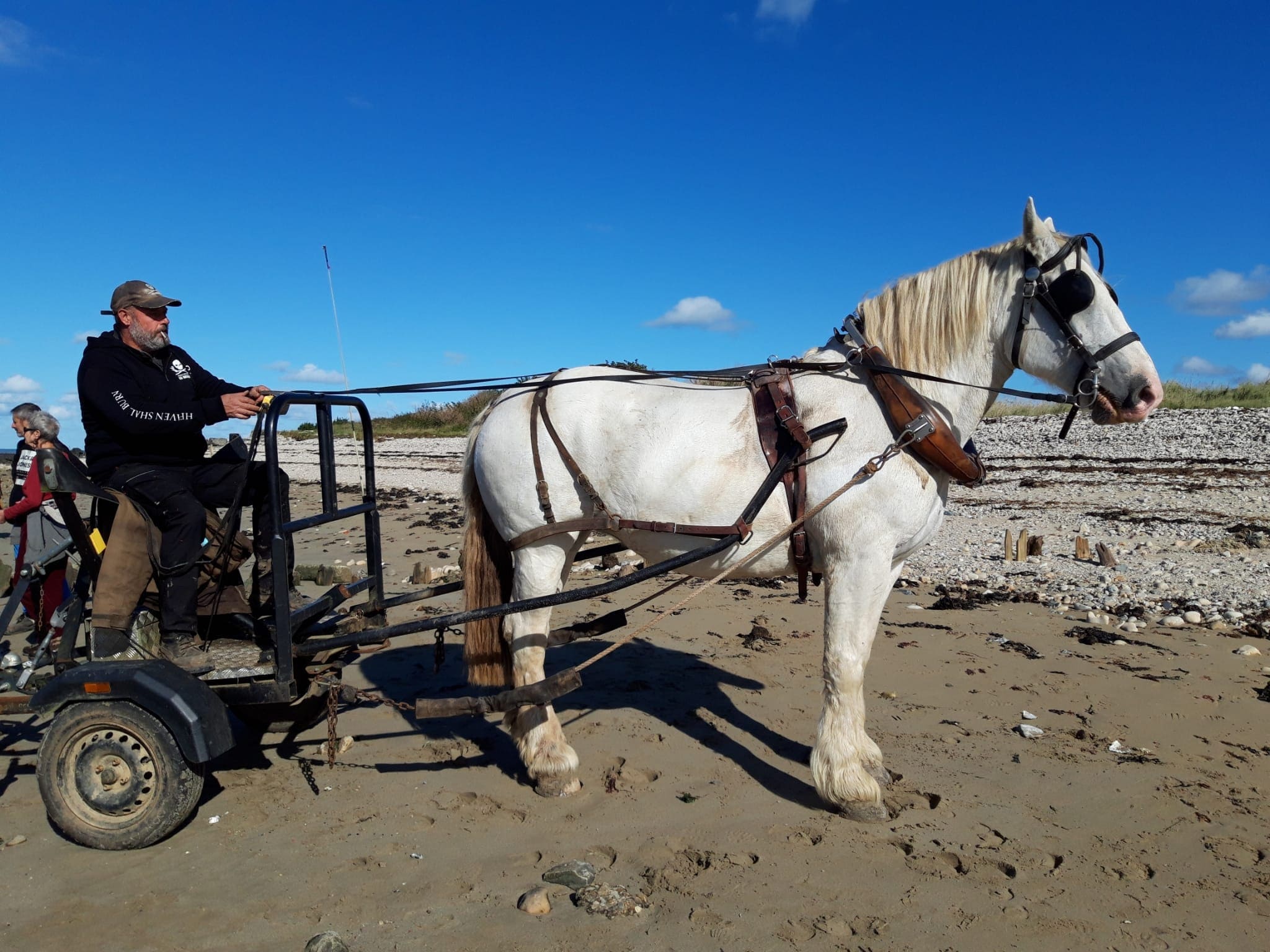 Opération "ramassage de déchets en Baie des Veys"