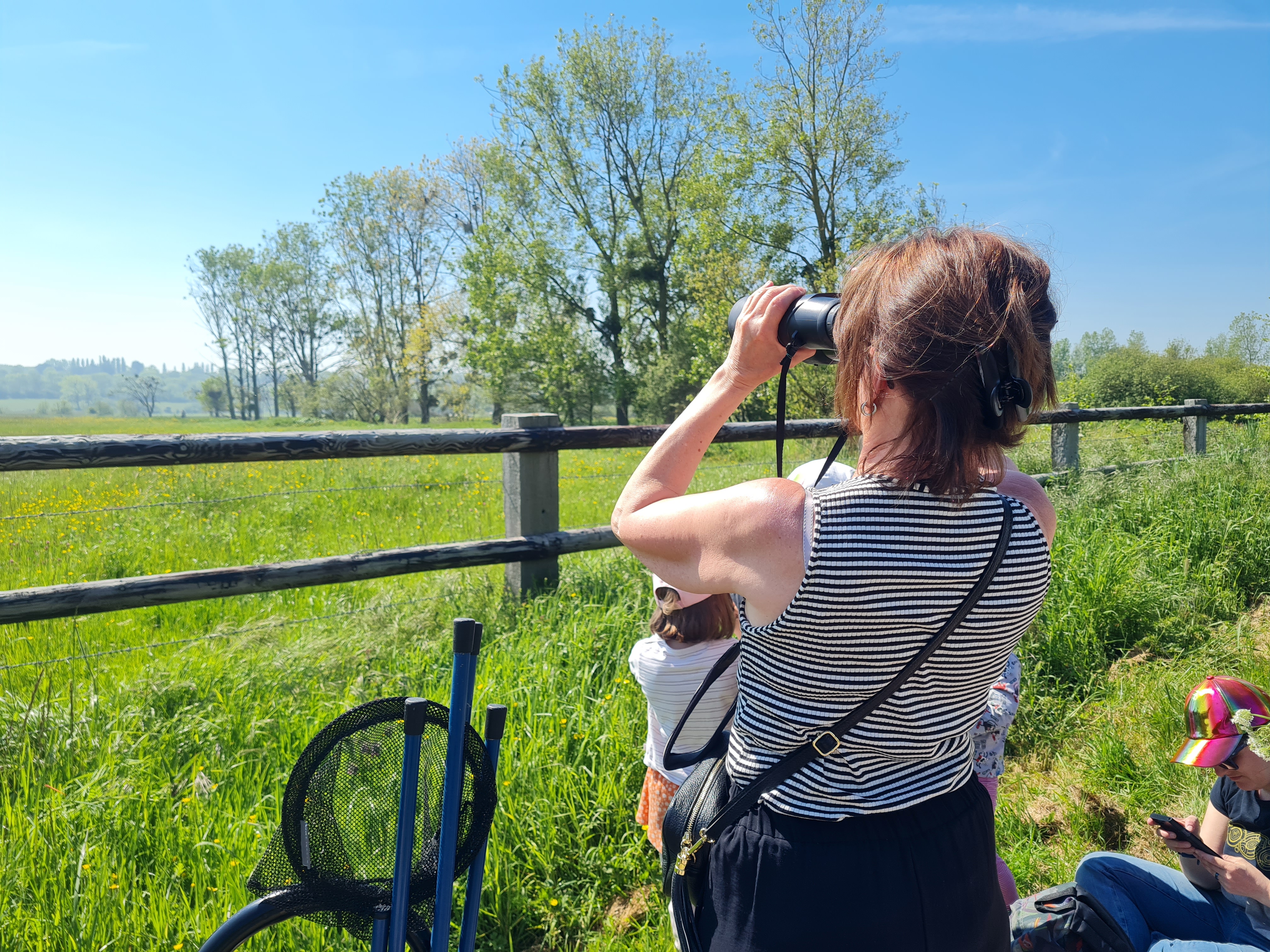Les richesses du marais de Blonville-Villers.
