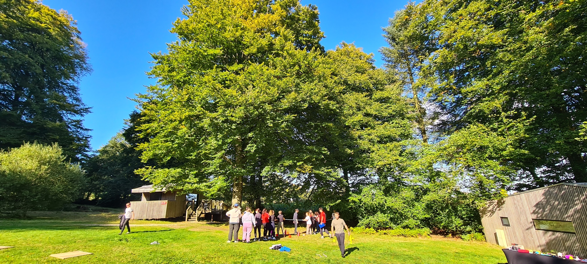 Lodges avec terrasse de L'Etape en Forêt — photo 3