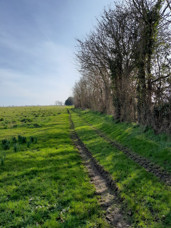 Itinéraire vélo et à pied "Au coeur des Marais", Trévières - photo 8