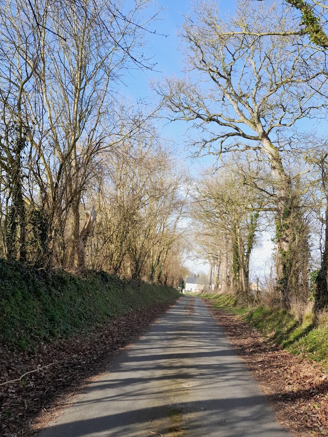 Itinéraire vélo et à pied "Au coeur des Marais", Trévières - photo 7