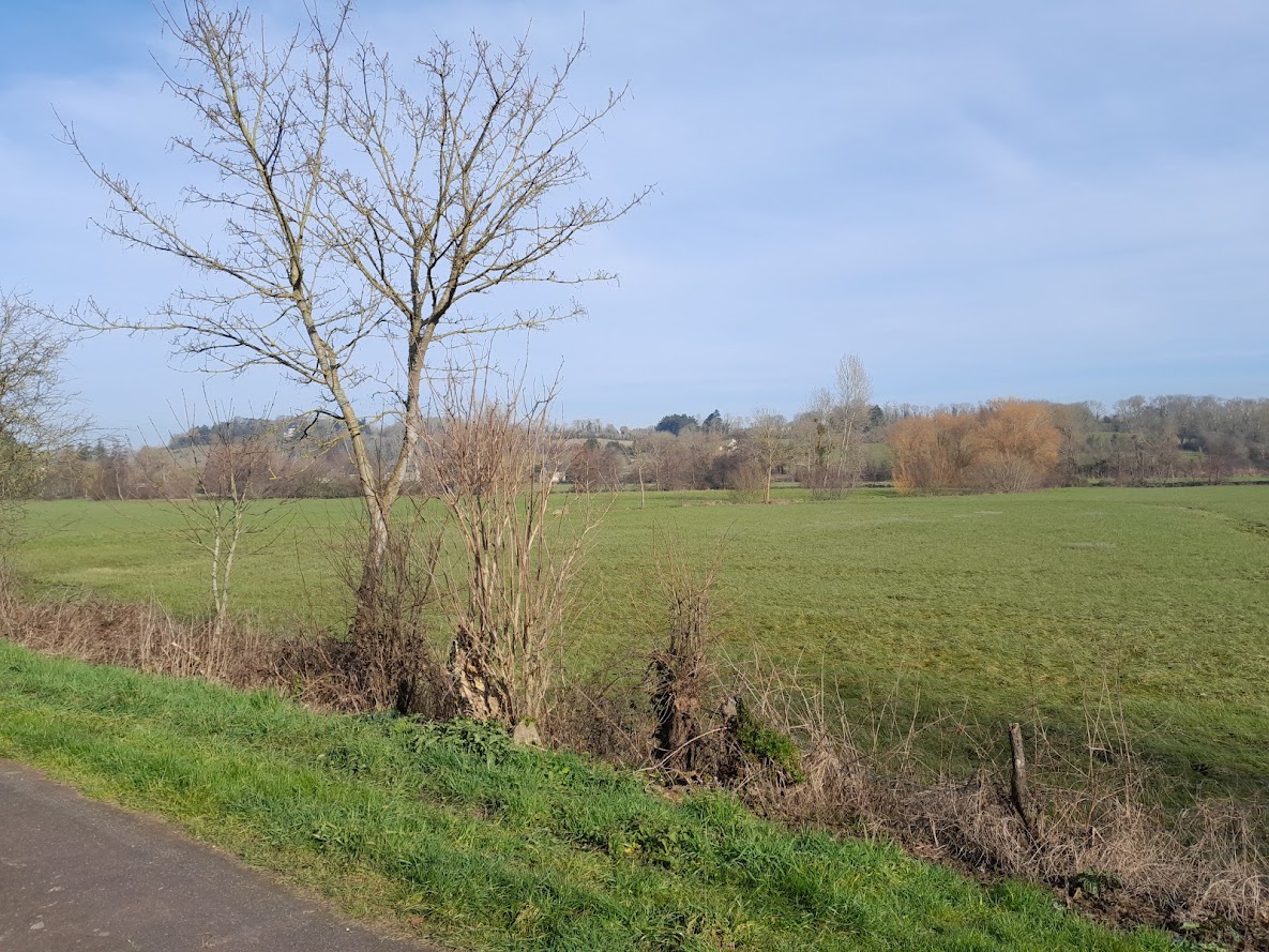 Itinéraire vélo et à pied "Au coeur des Marais", Trévières - photo 6