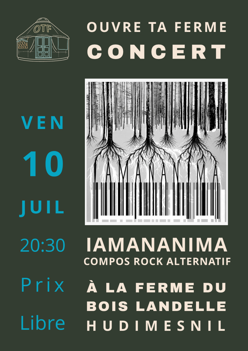 Iamananima en concert