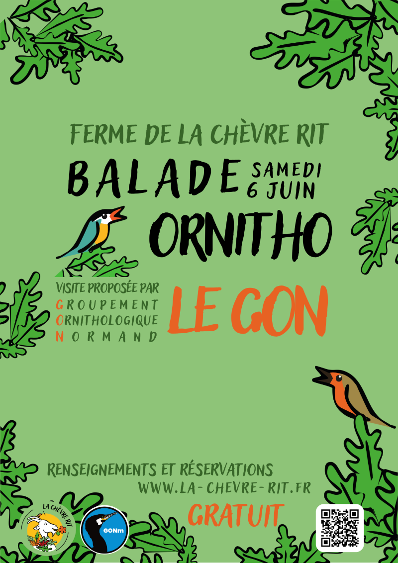 Sortie Ornitho - Découvrir les oiseaux du bocage