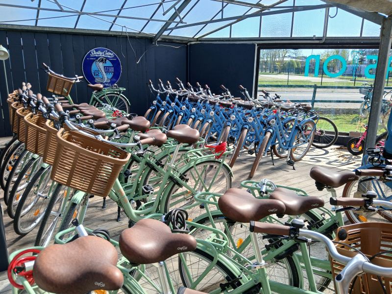 Gaston - Location vélos — photo 3