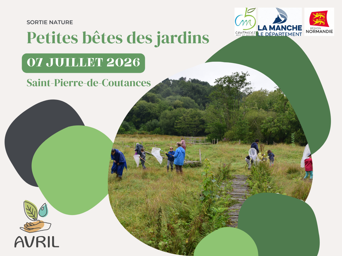 Petites bêtes des jardins — visuel événement