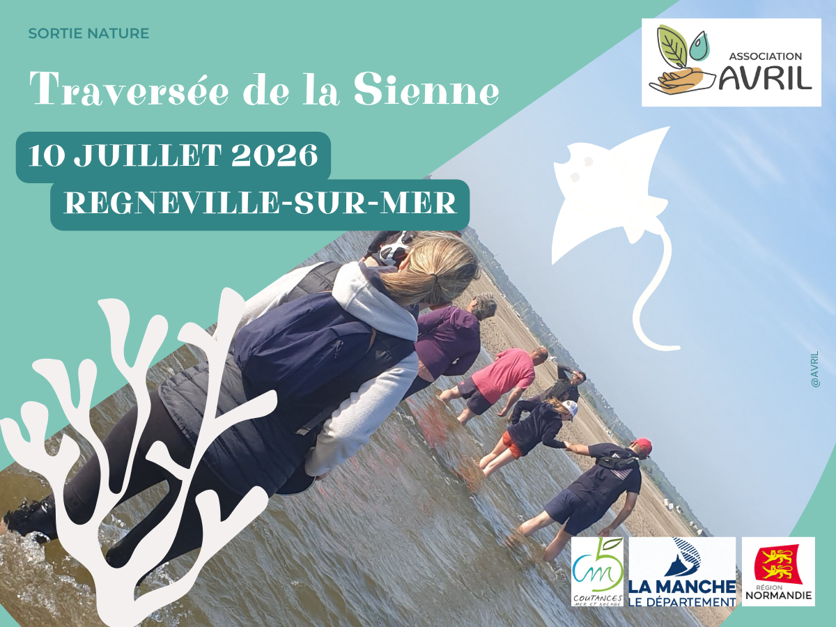 Traversée de la Sienne — visuel événement