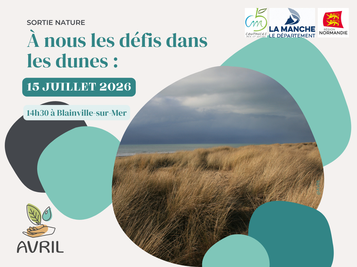 A nous les défis dans les dunes ! — visuel événement