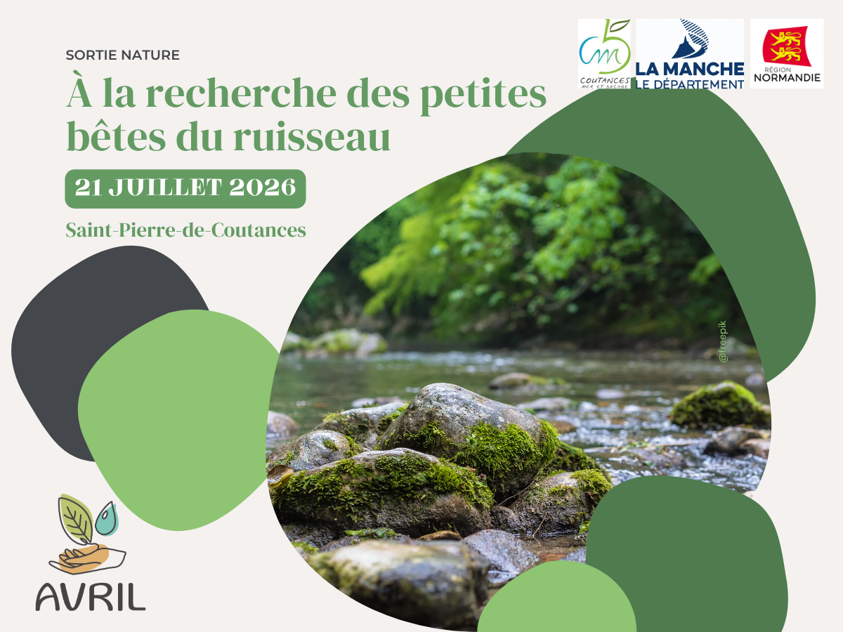 A la recherche des petites bêtes du ruisseau