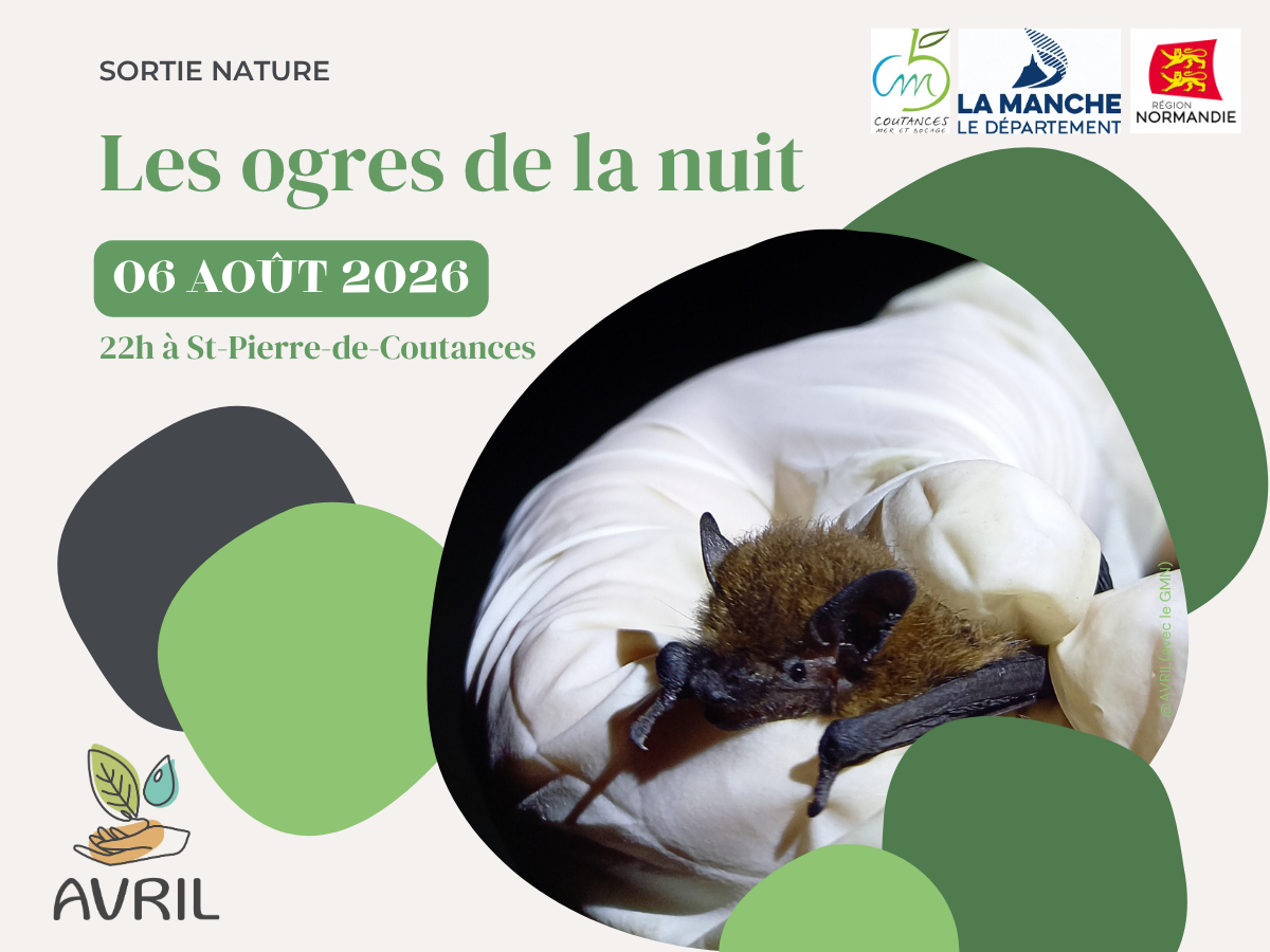 Miam... un insecte!