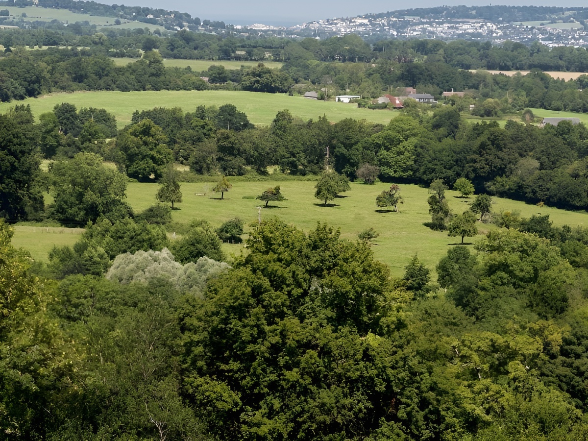 Les Trois Colombes, Mézidon Vallée d'Auge - photo 8