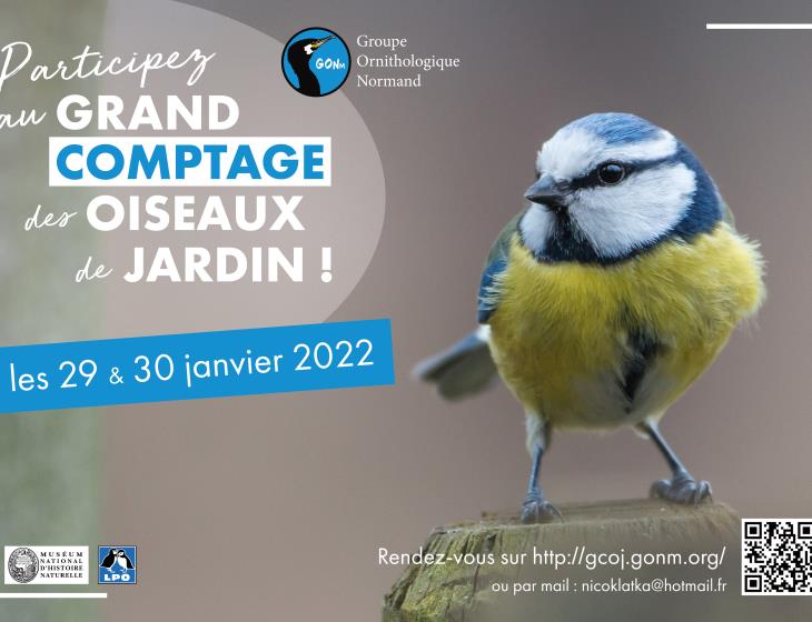 23-13-Grand-comptage-des-oiseaux-c.-GONm-.jpg?width=730&height=560&crop=1