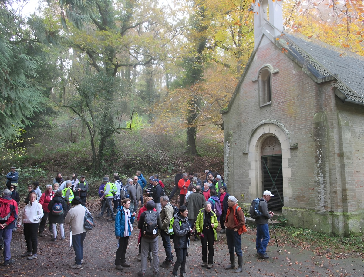 Forêt de Grimbosq, Grimbosq - photo 9
