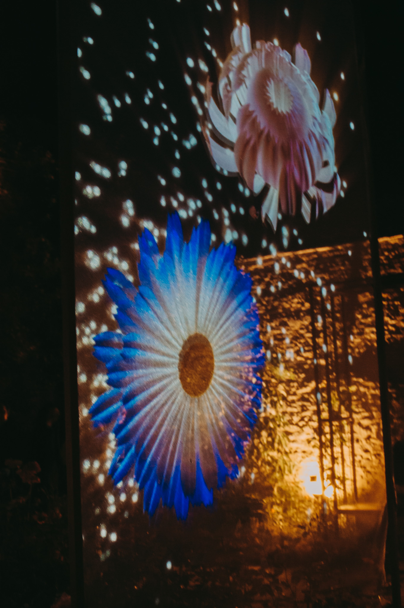 Les soirées illuminées d'été, Mézidon Vallée d'Auge - photo 3