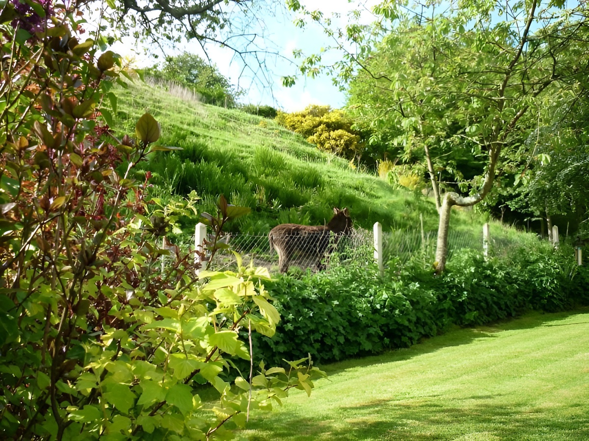 Les Cerisiers, Saint-Pierre-en-Auge - photo 12