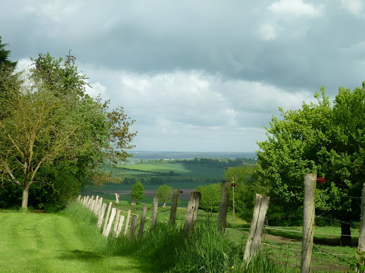 Les Cerisiers, Saint-Pierre-en-Auge - photo 15