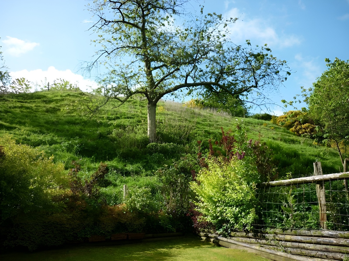 Les Cerisiers, Saint-Pierre-en-Auge - photo 16