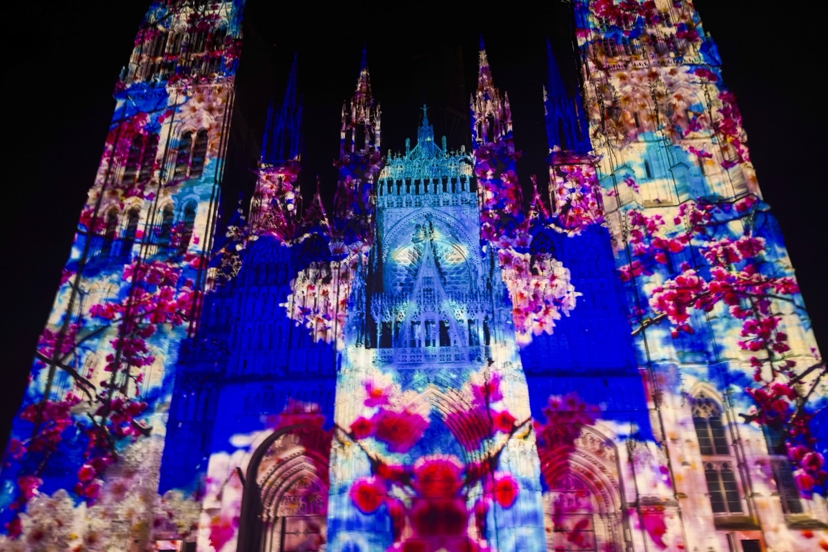 "Cathédrale de lumière" Floraison sauvage