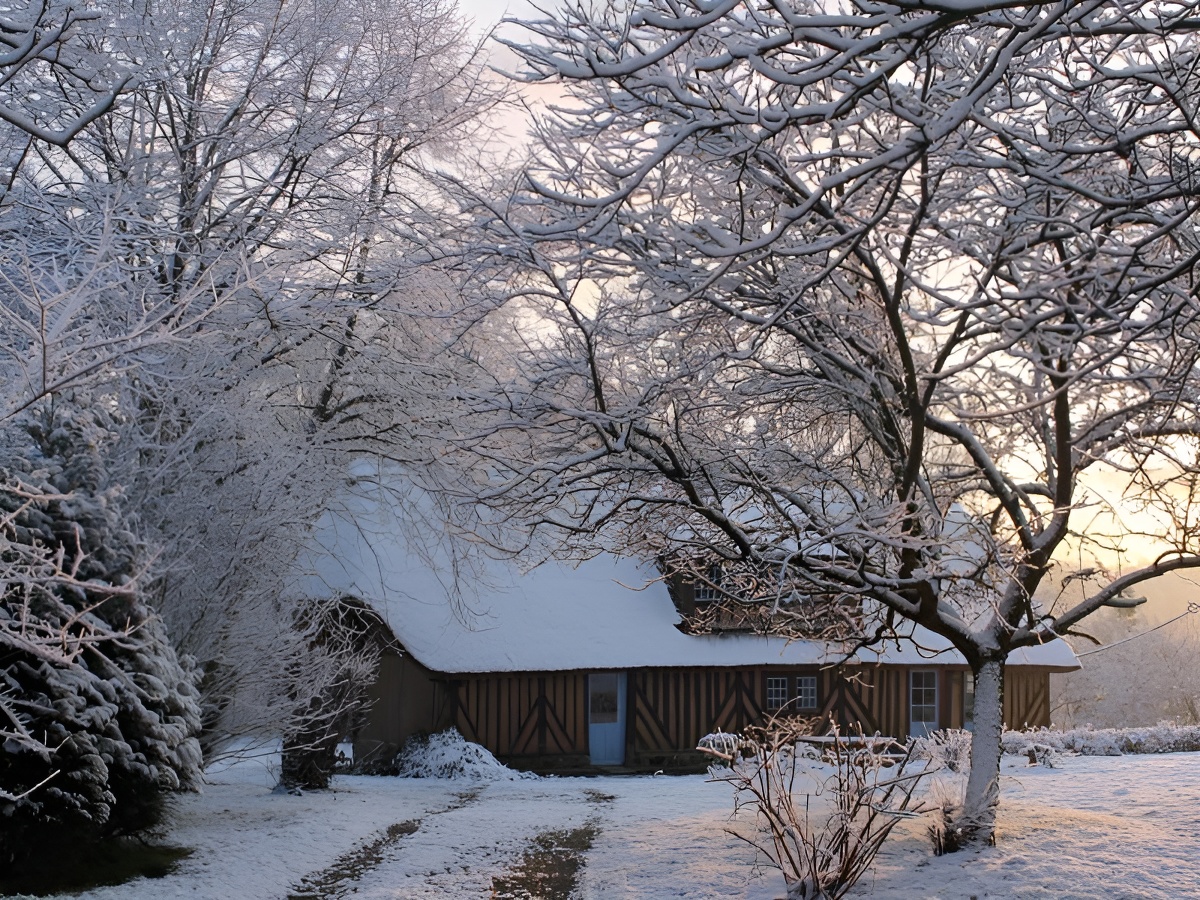 La Chaumière aux Faisans, Ablon - photo 6