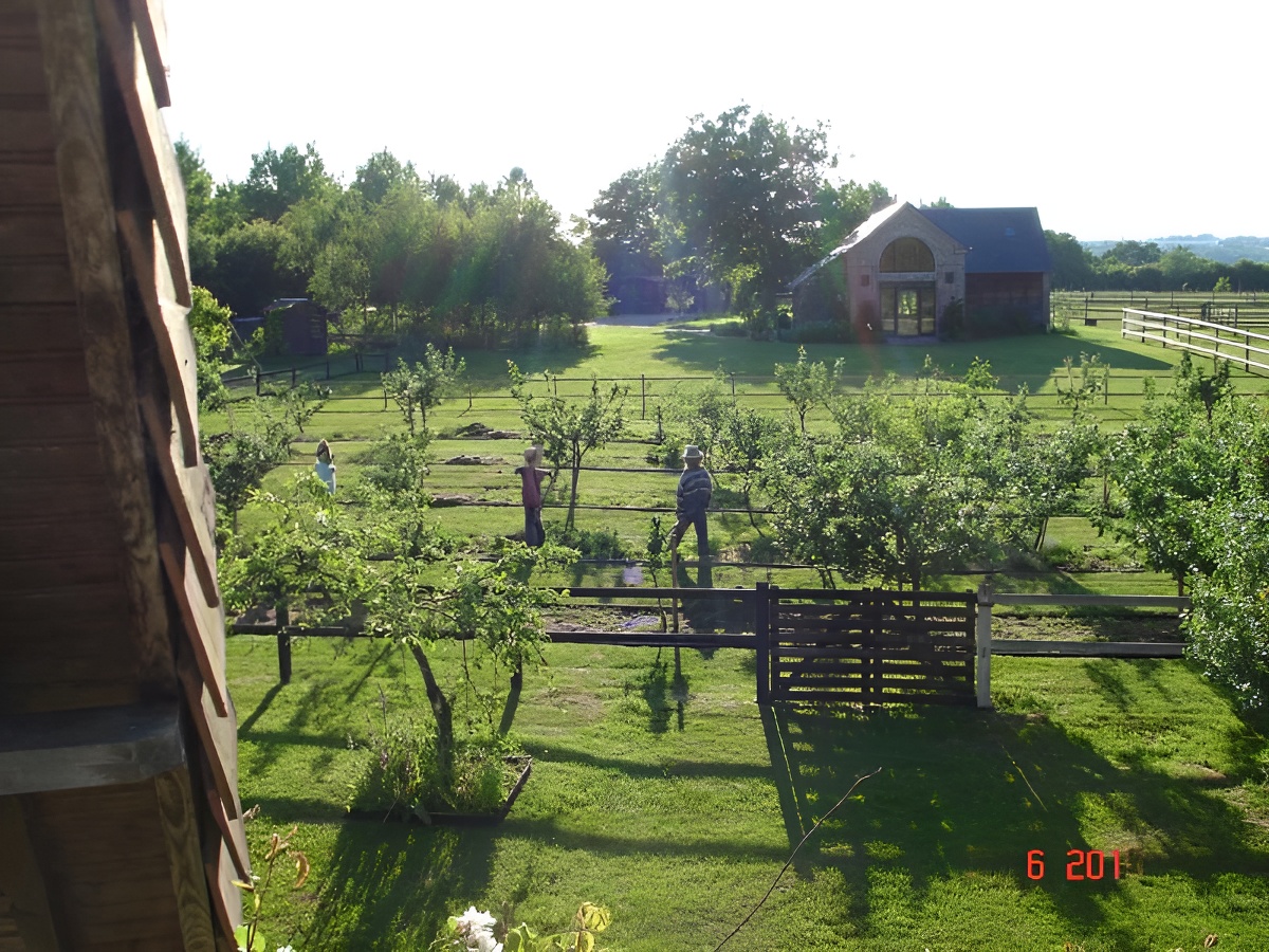 Aux Trois Petites Poules, Saint-Désir - photo 7