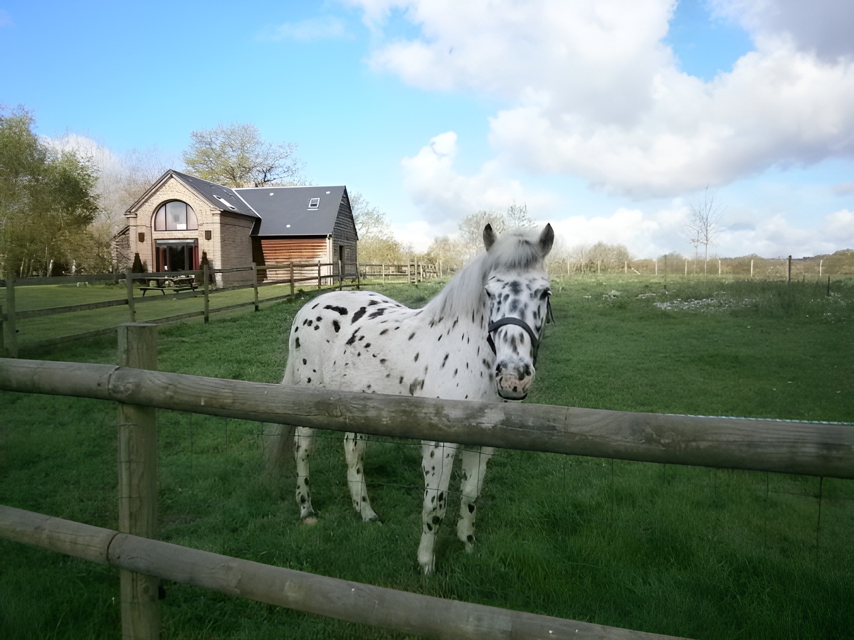 Aux Trois Petites Poules, Saint-Désir - photo 2