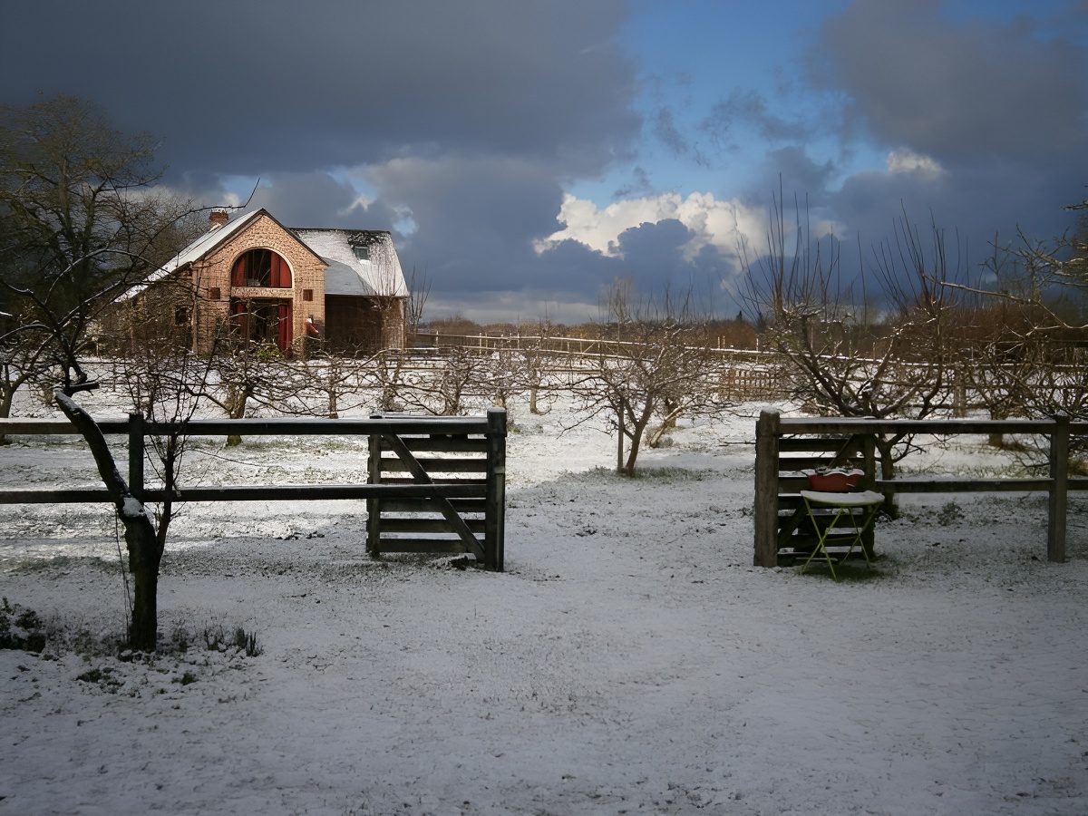 Aux Trois Petites Poules, Saint-Désir - photo 19