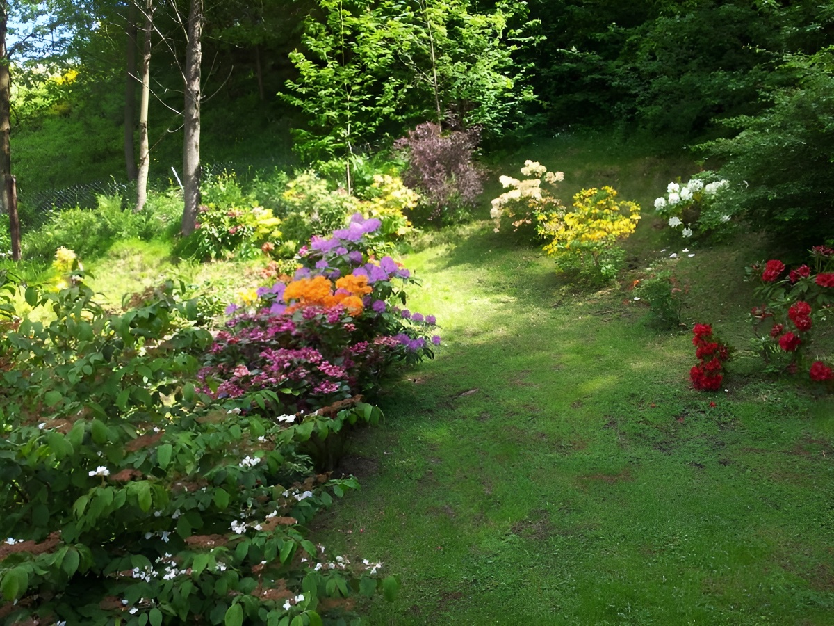 Les Doucets, Saint-Pierre-en-Auge - photo 17