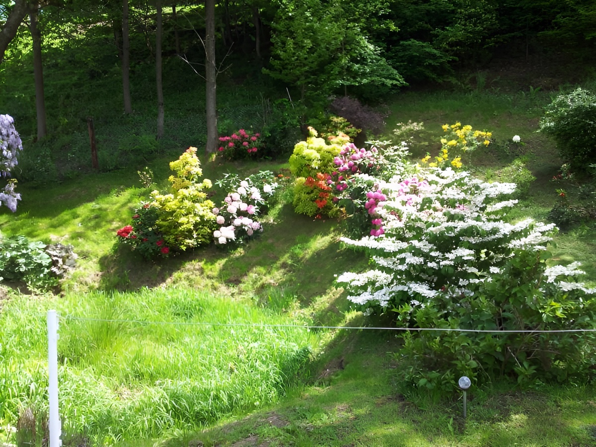 Les Doucets, Saint-Pierre-en-Auge - photo 10