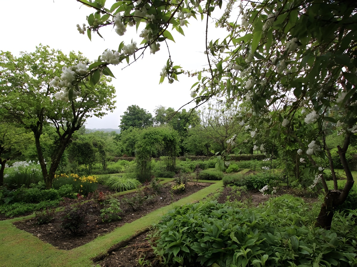 La Florale, Saint-Hymer - photo 8