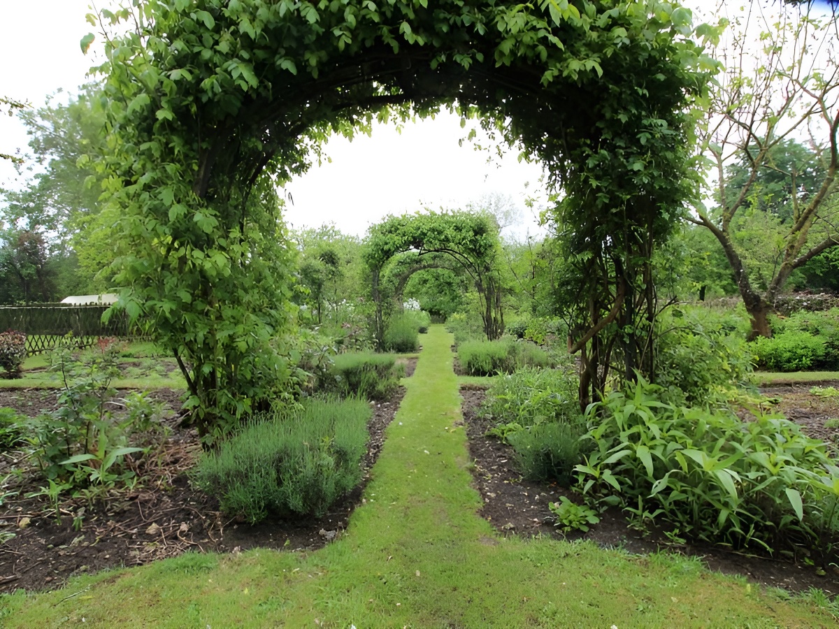 La Florale, Saint-Hymer - photo 12