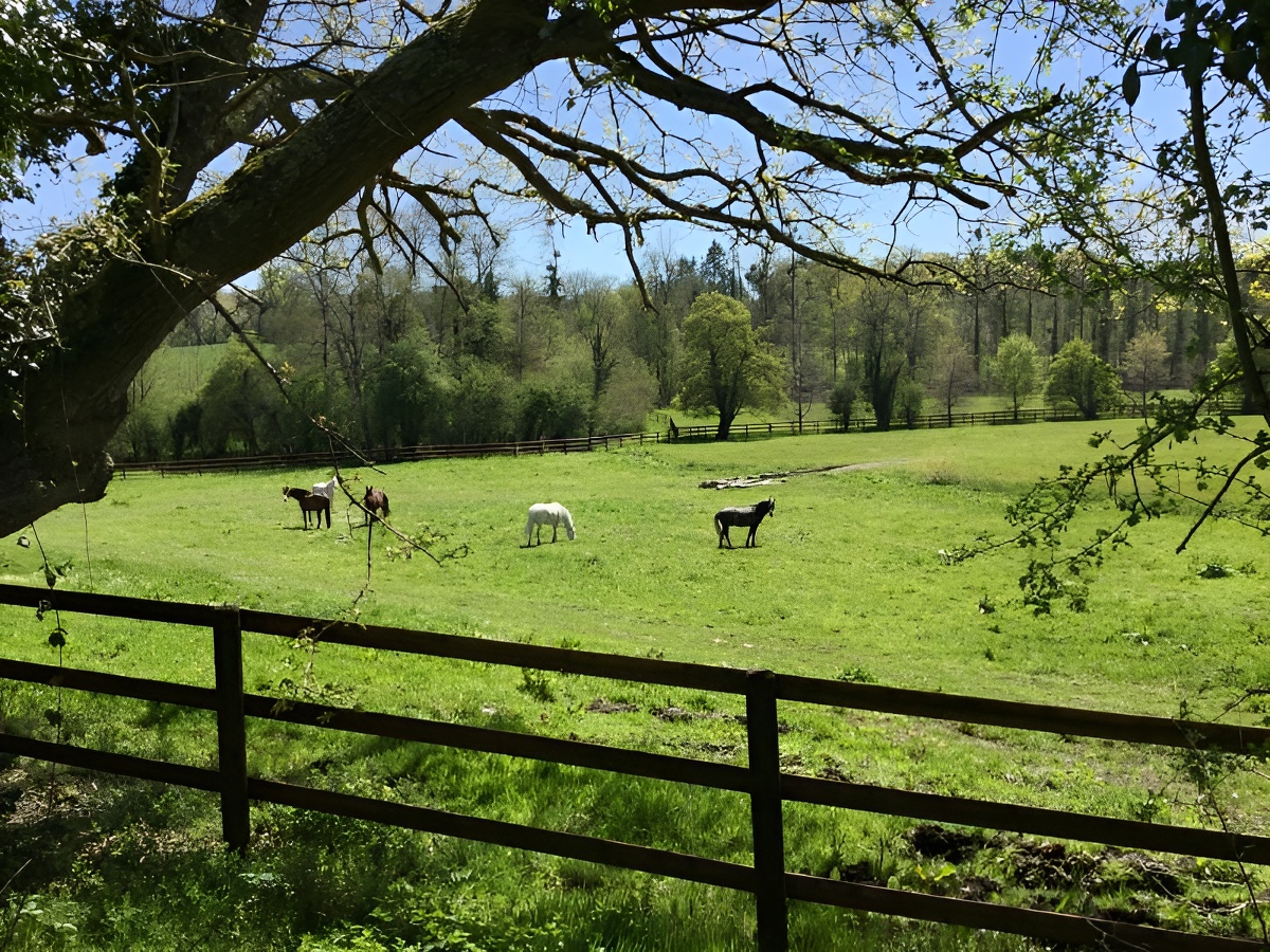 La Florale, Saint-Hymer - photo 16