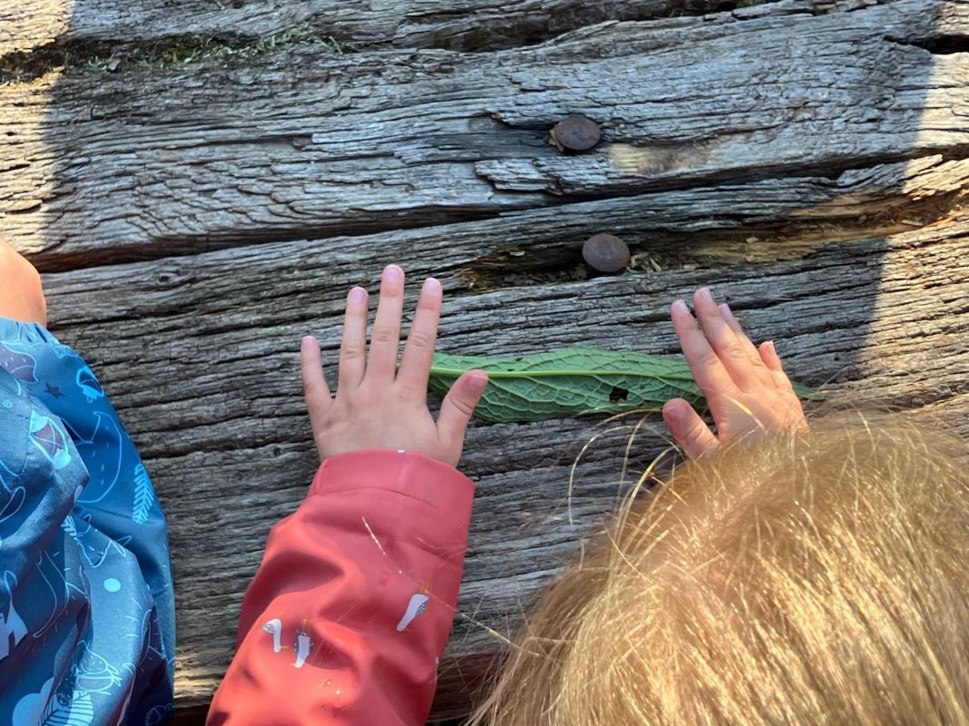 Eveil à la nature spécial 18 mois - 4 ans : A la recherche des petites bêtes — visuel événement
