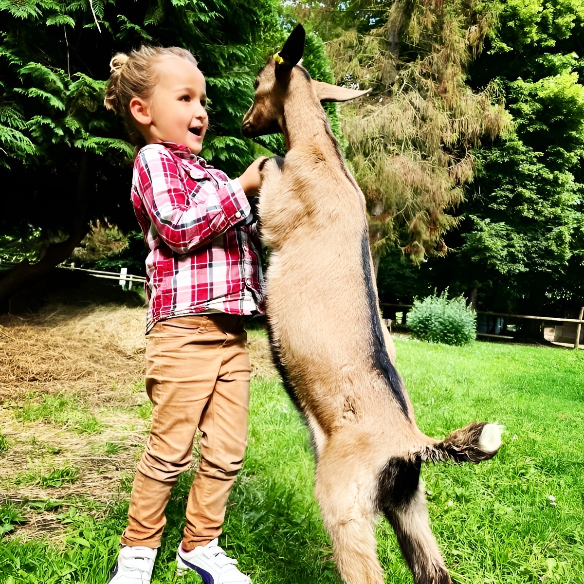 Ferme pédagogique de Ouézy, Ouézy - photo 21