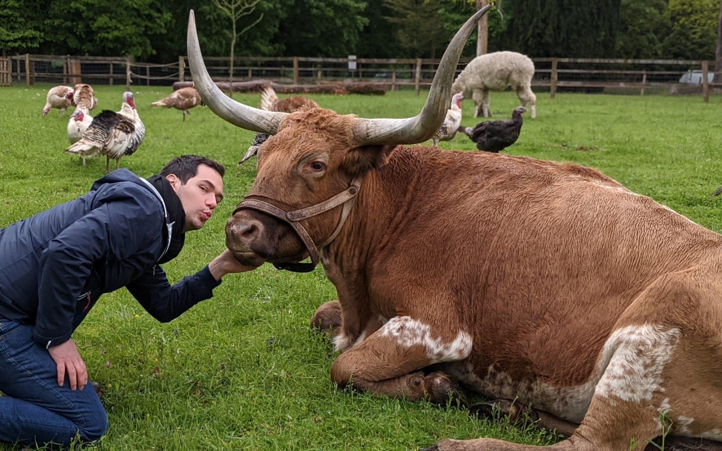 Ferme pédagogique de Ouézy, Ouézy - photo 14