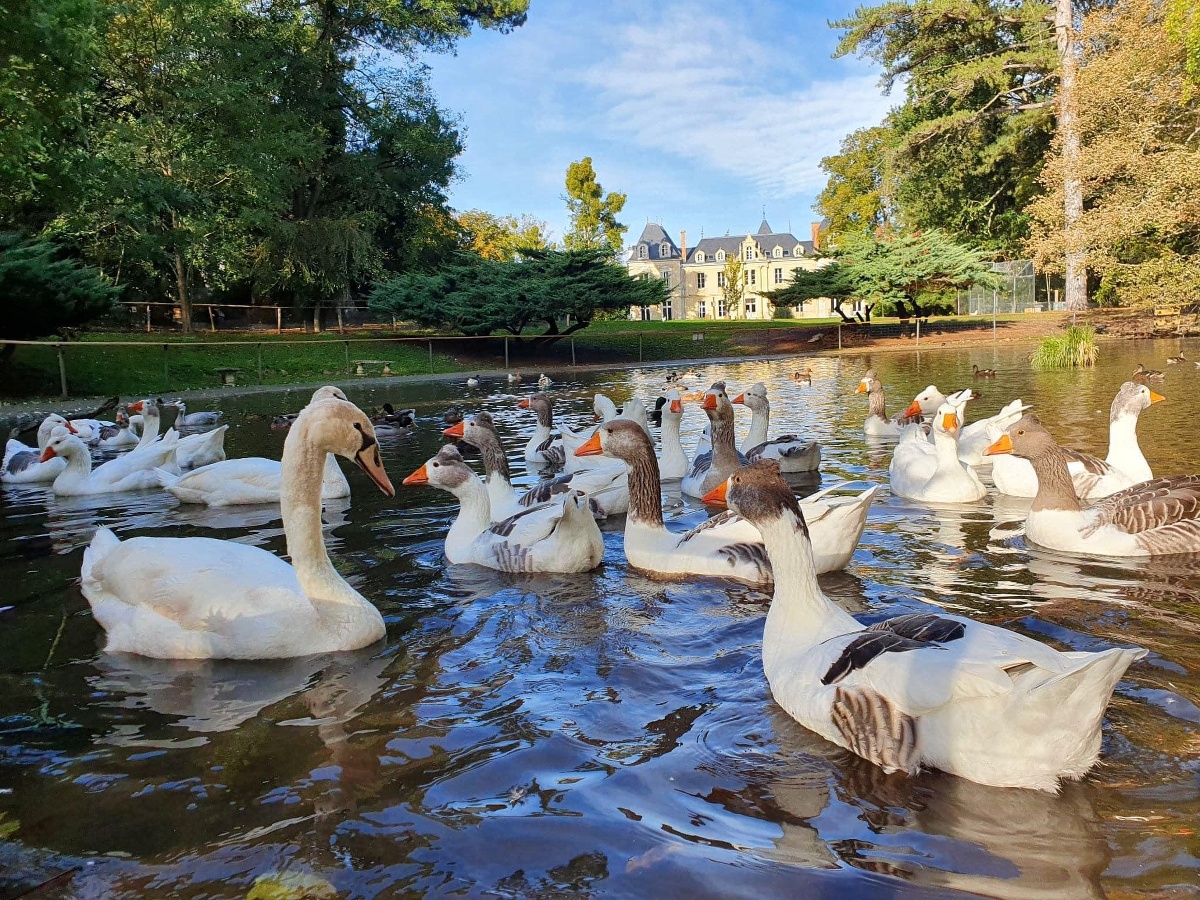 Ferme pédagogique de Ouézy, Ouézy - photo 13