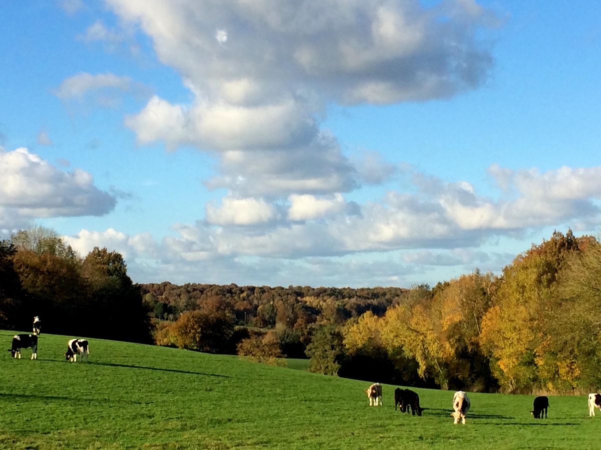 Le Lodge du Pré des Colombiers, Valorbiquet - photo 7