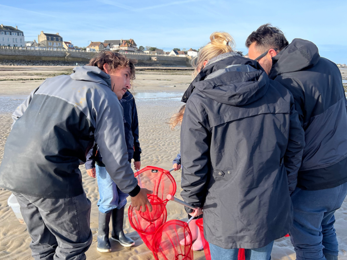 Sorties pêche à pied et découverte de l'estran, Luc-sur-Mer - photo 5