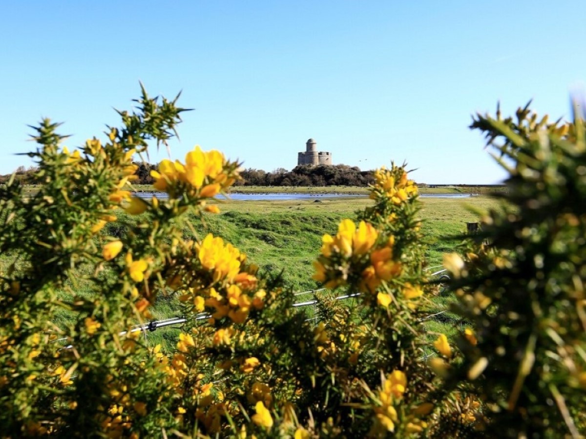 Musée maritime de Tatihou, Saint-Vaast-la-Hougue - photo 8