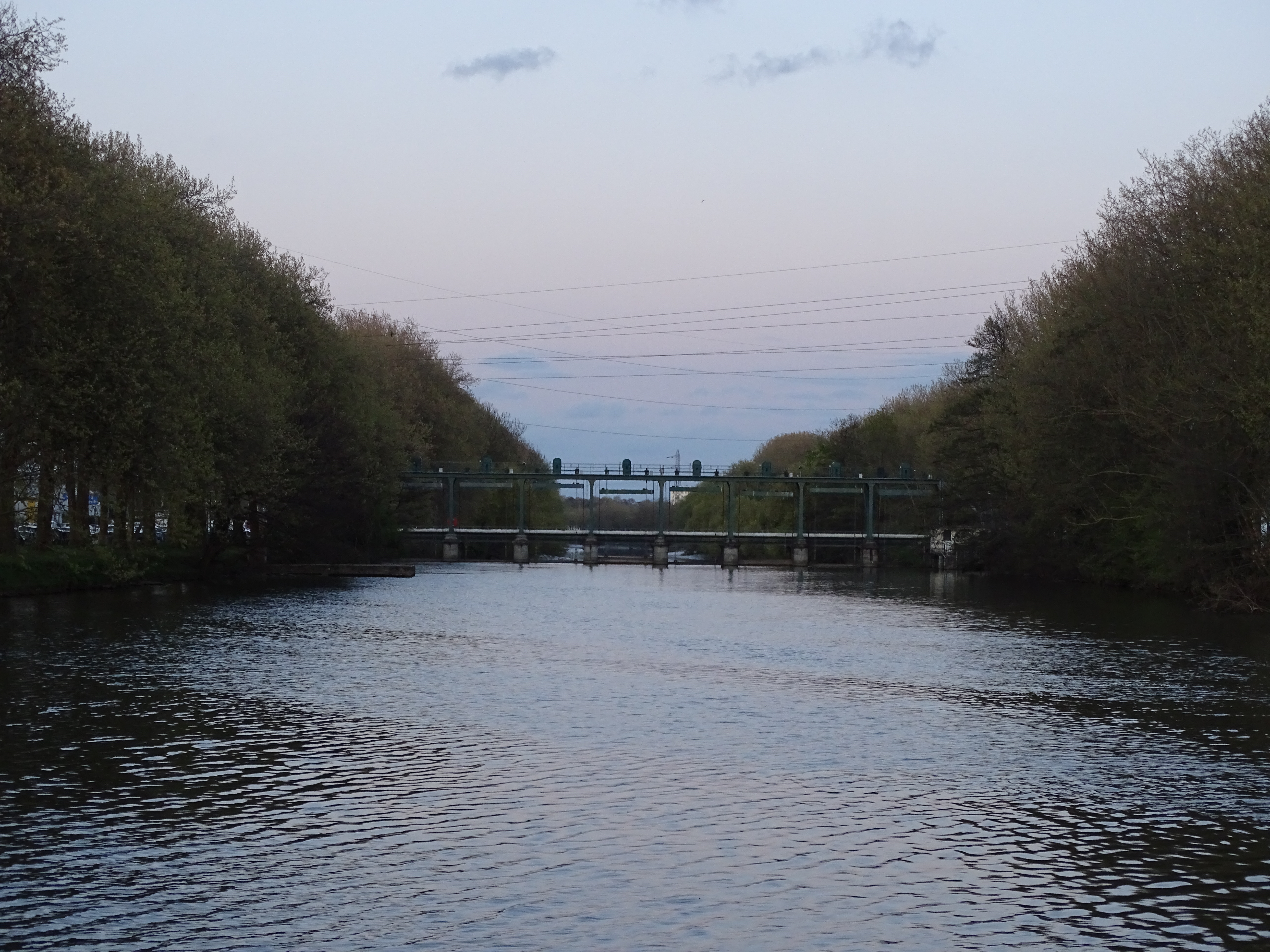 Randonnée : biodiversité nocturne