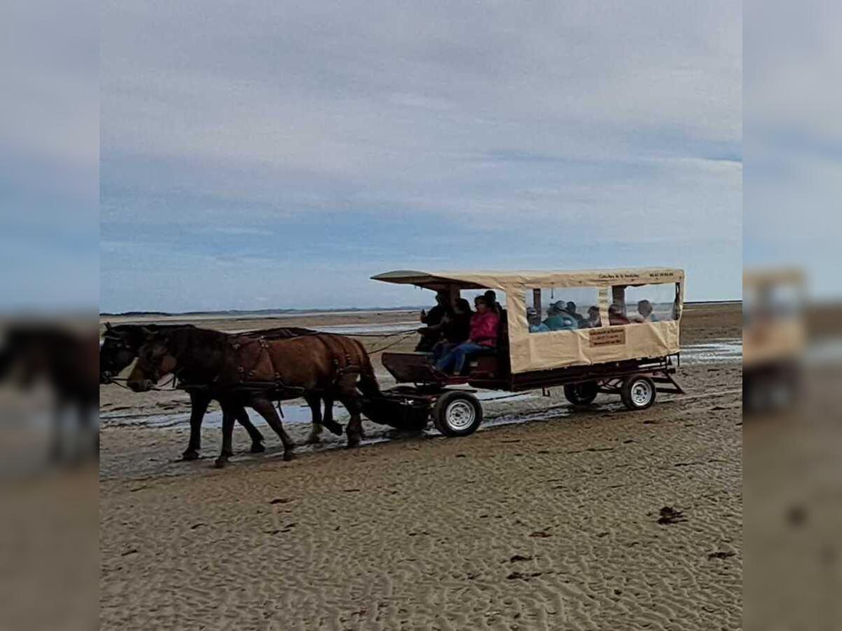 Escapade en calèche