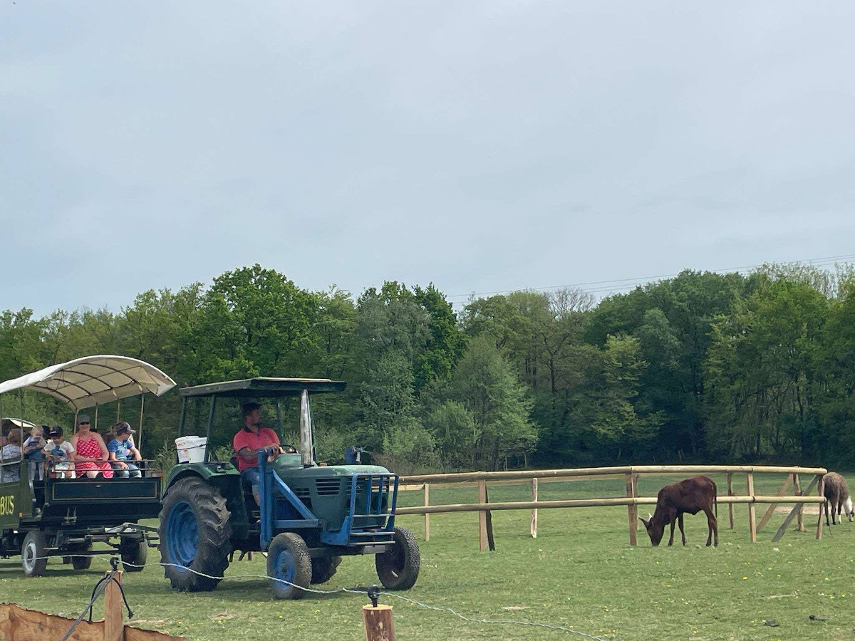 Le Parc du Yack Blanc, Les Monts d'Aunay - photo 5