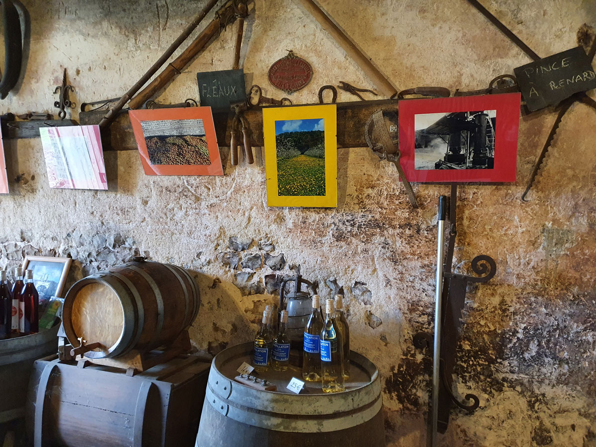 4---cidre-paquier-@LHET