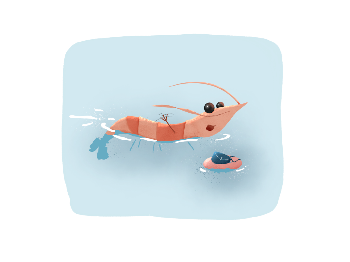 En piste Lulu, Honfleur - photo 11